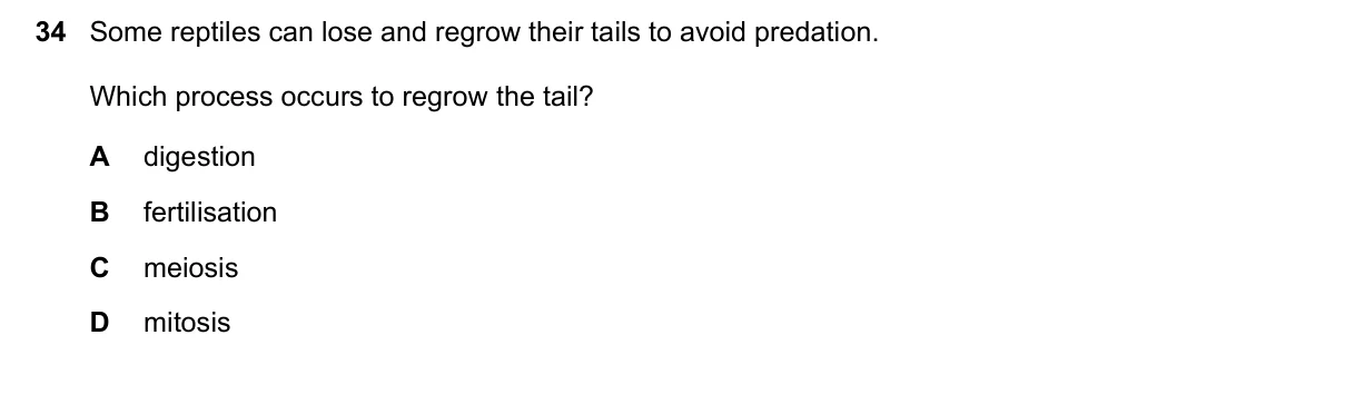 Question 34, June 2021, 0610 Paper 13
