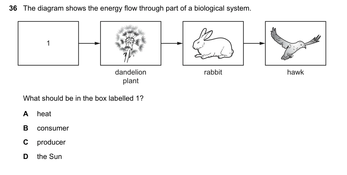 Question 36, June 2021, 0610 Paper 13