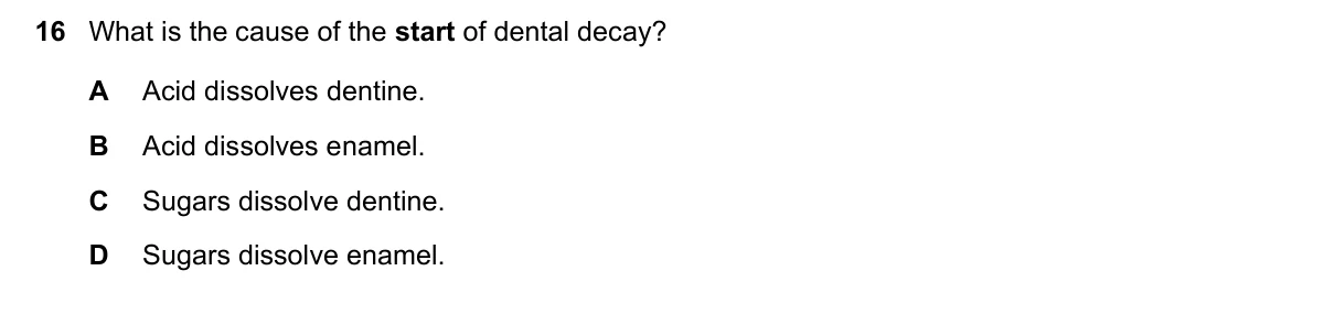 Question 16, June 2021, 0610 Paper 23