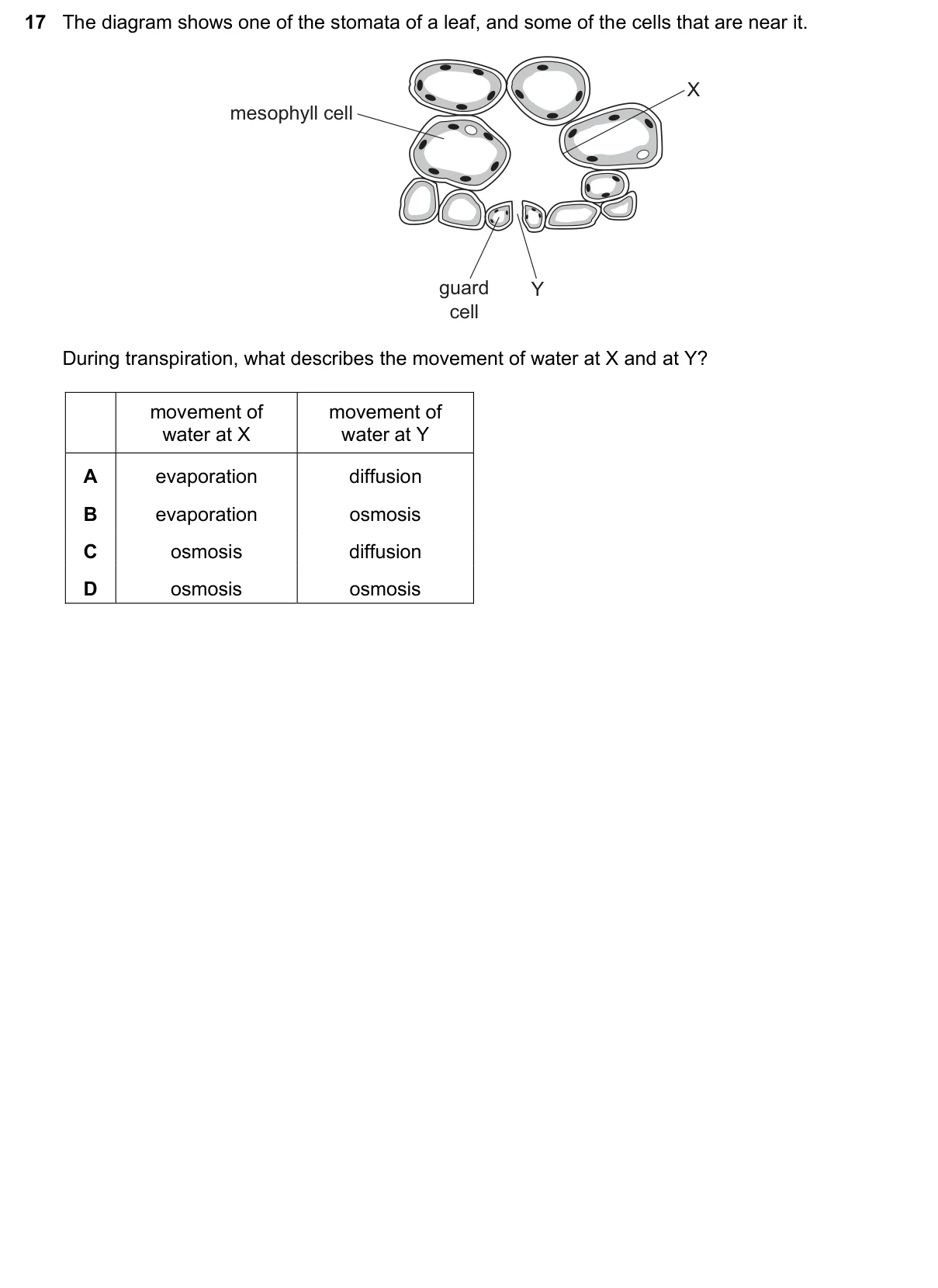 Question 17, June 2021, 0610 Paper 23