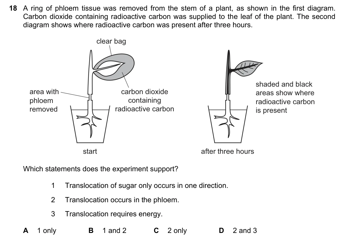 Question 18, June 2021, 0610 Paper 23