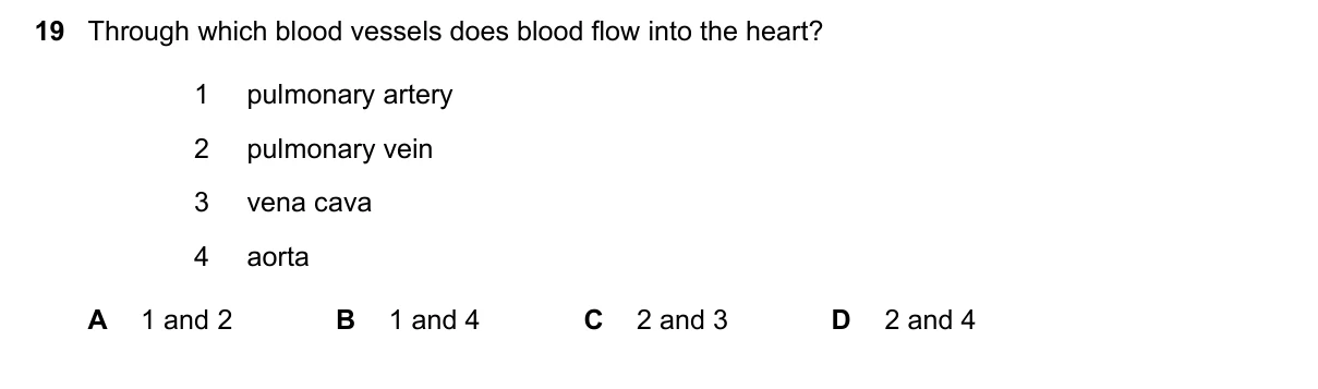Question 19, June 2021, 0610 Paper 23