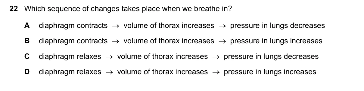 Question 22, June 2021, 0610 Paper 23