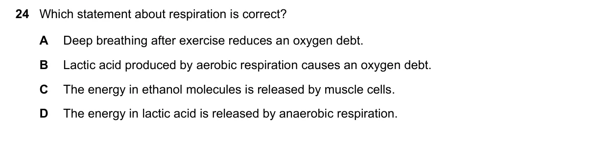 Question 24, June 2021, 0610 Paper 23