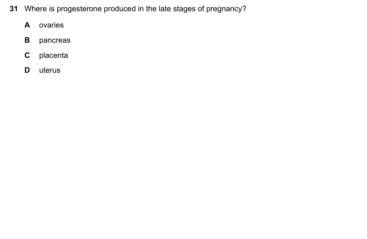 Question 31, June 2021, 0610 Paper 23