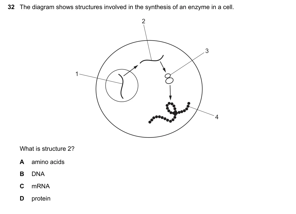 Question 32, June 2021, 0610 Paper 23