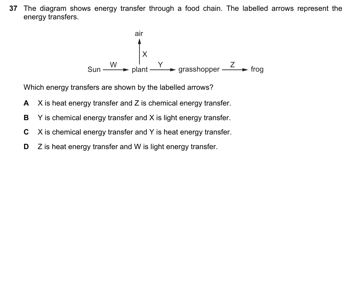 Question 37, June 2021, 0610 Paper 23