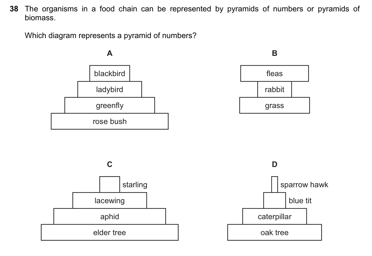 Question 38, June 2021, 0610 Paper 23