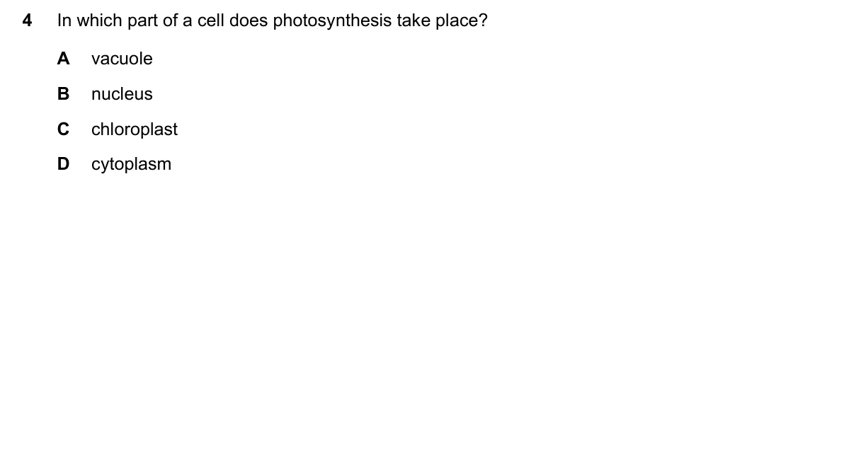 Question 4, June 2021, 0610 Paper 23
