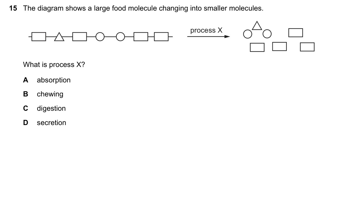 Question 15, November 2021, 0610 Paper 11