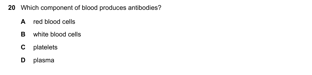 Question 20, November 2021, 0610 Paper 11