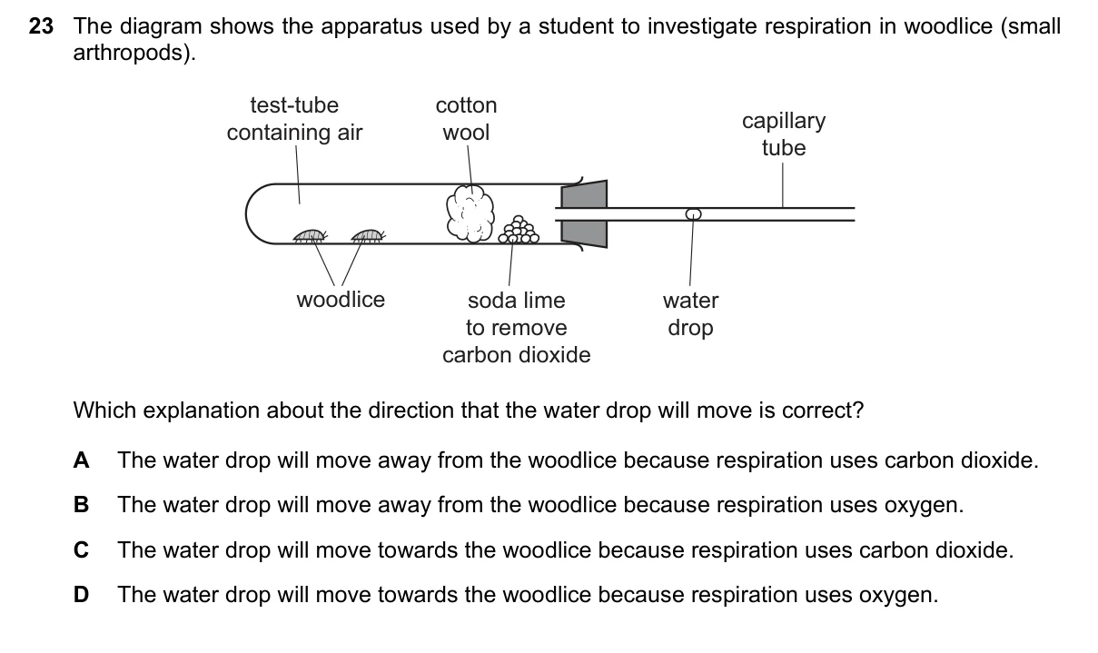 Question 23, November 2021, 0610 Paper 11