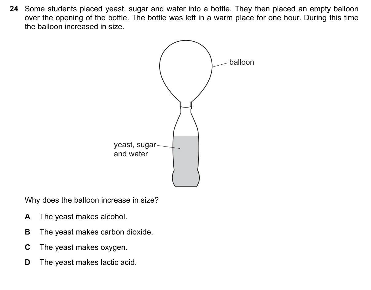 Question 24, November 2021, 0610 Paper 11