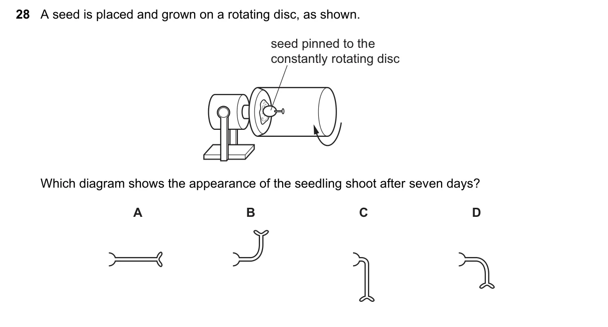 Question 28, November 2021, 0610 Paper 11
