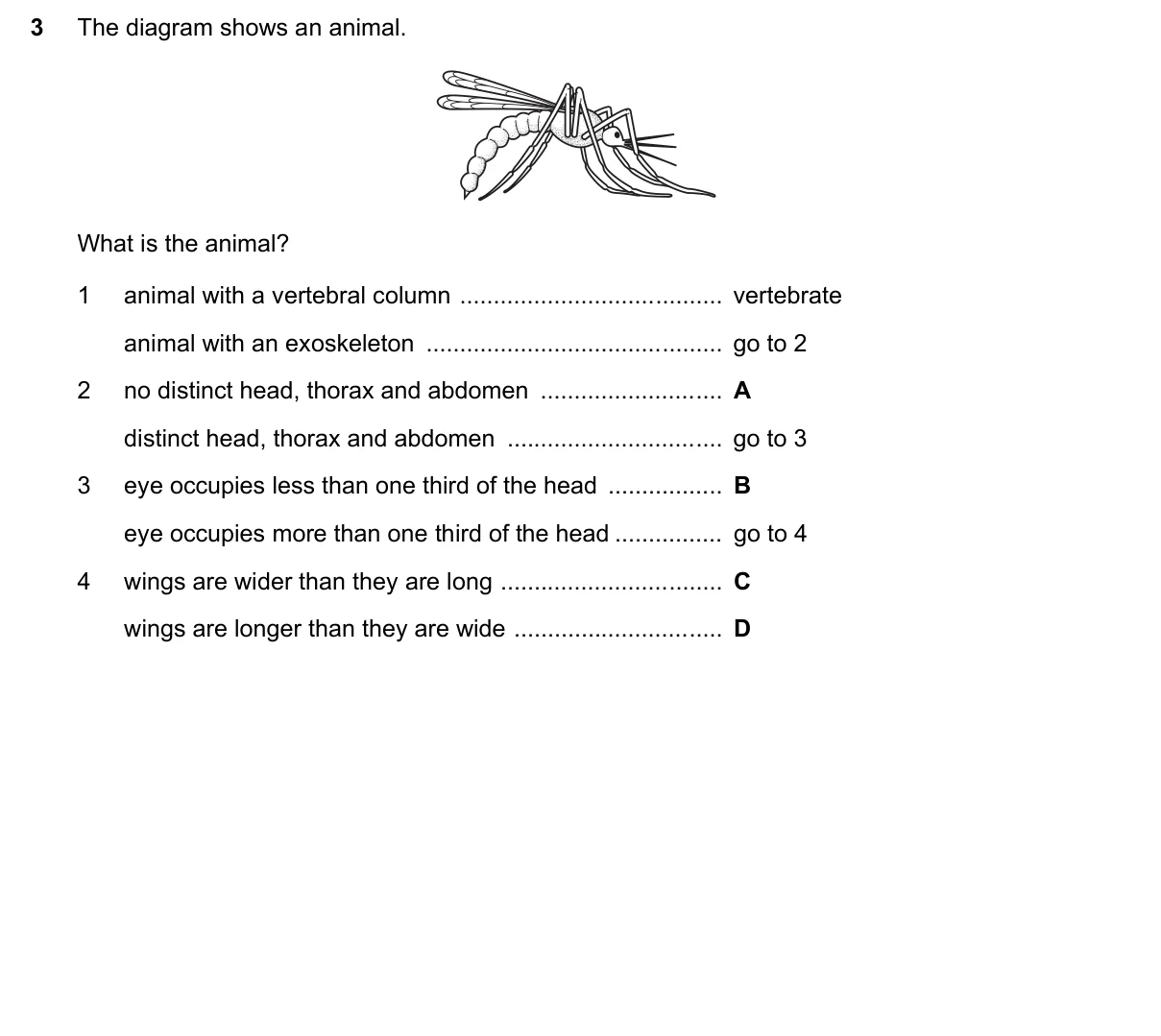 Question 3, November 2021, 0610 Paper 11