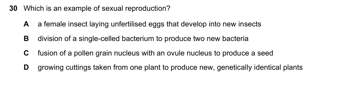Question 30, November 2021, 0610 Paper 11