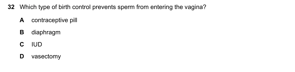 Question 32, November 2021, 0610 Paper 11