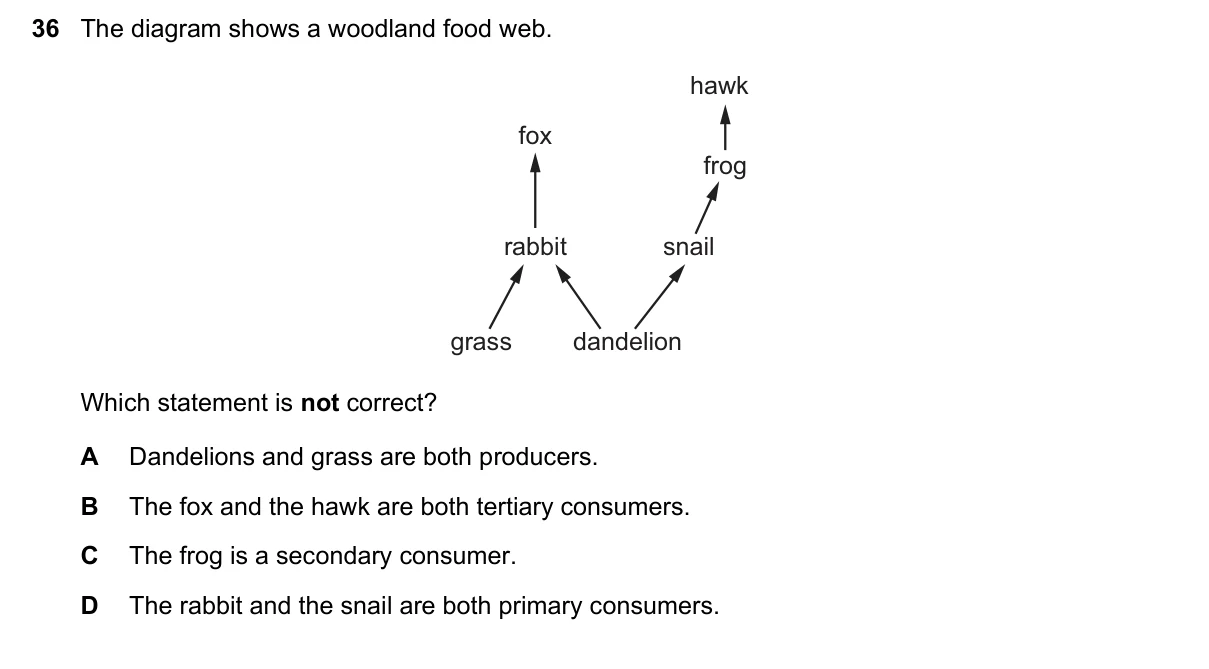 Question 36, November 2021, 0610 Paper 11