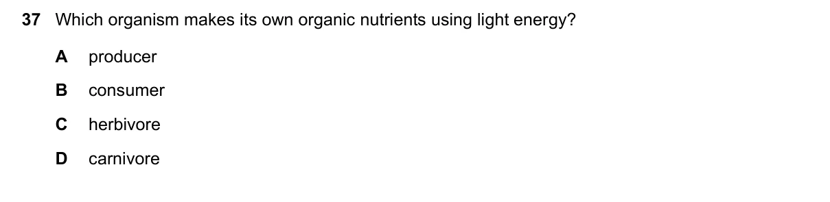 Question 37, November 2021, 0610 Paper 11