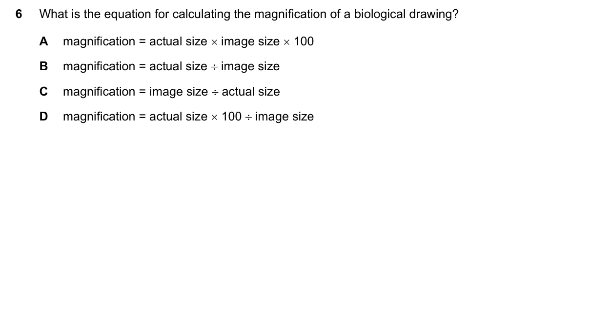 Question 6, November 2021, 0610 Paper 11