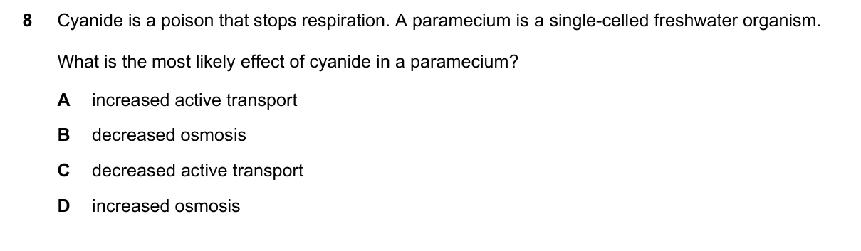 Question 8, November 2021, 0610 Paper 11