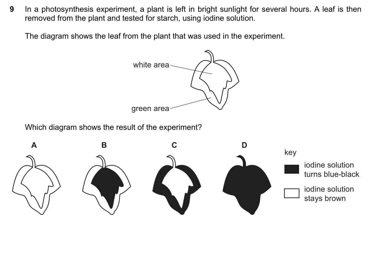 Question 9, November 2021, 0610 Paper 11