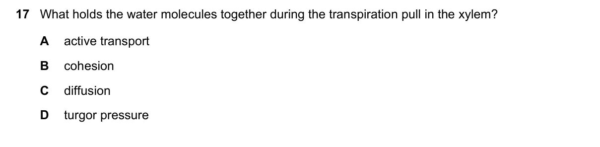 Question 17, November 2021, 0610 Paper 21
