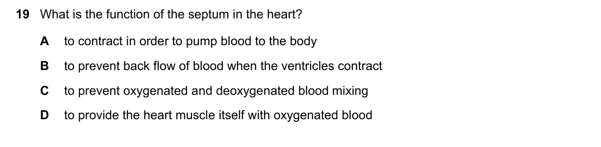 Question 19, November 2021, 0610 Paper 21