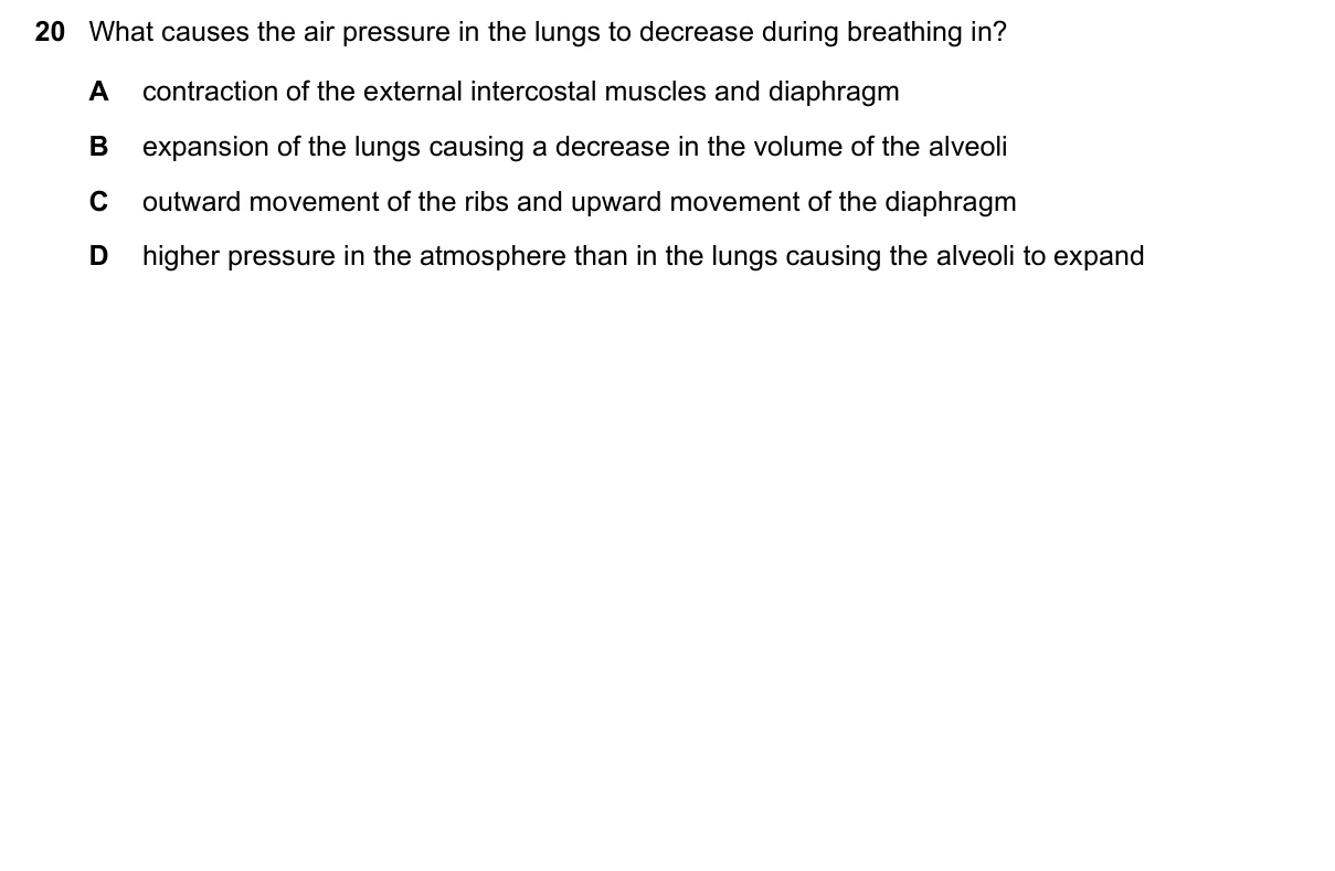 Question 20, November 2021, 0610 Paper 21