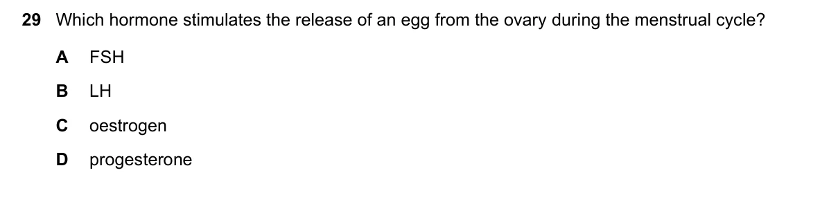 Question 29, November 2021, 0610 Paper 21