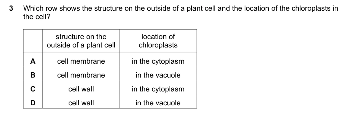 Question 3, November 2021, 0610 Paper 21