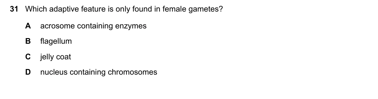 Question 31, November 2021, 0610 Paper 21