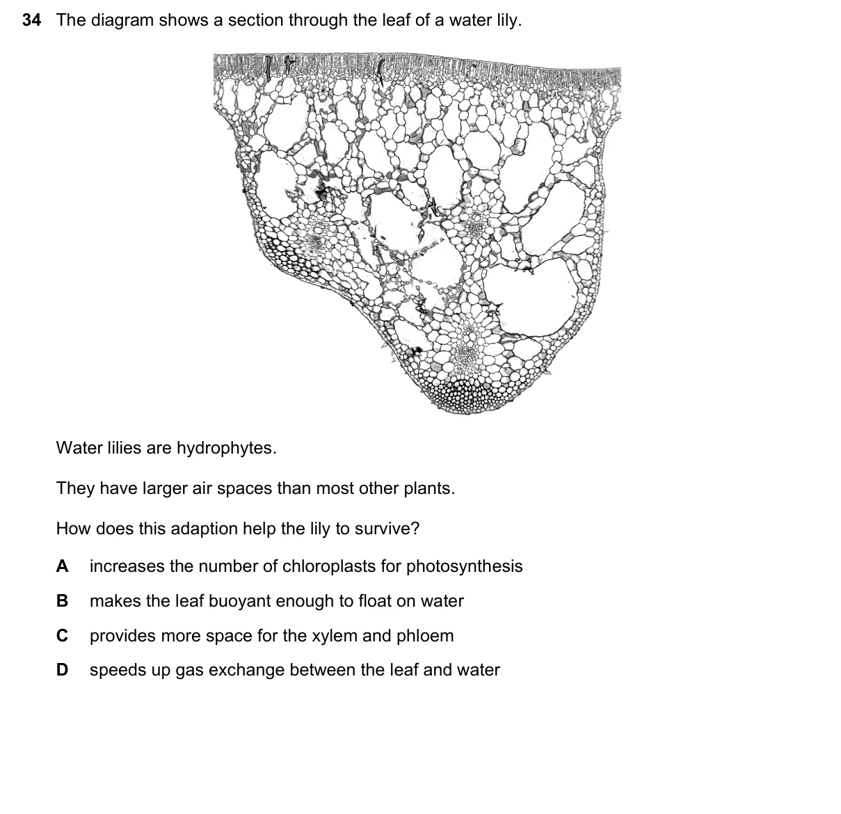Question 34, November 2021, 0610 Paper 21