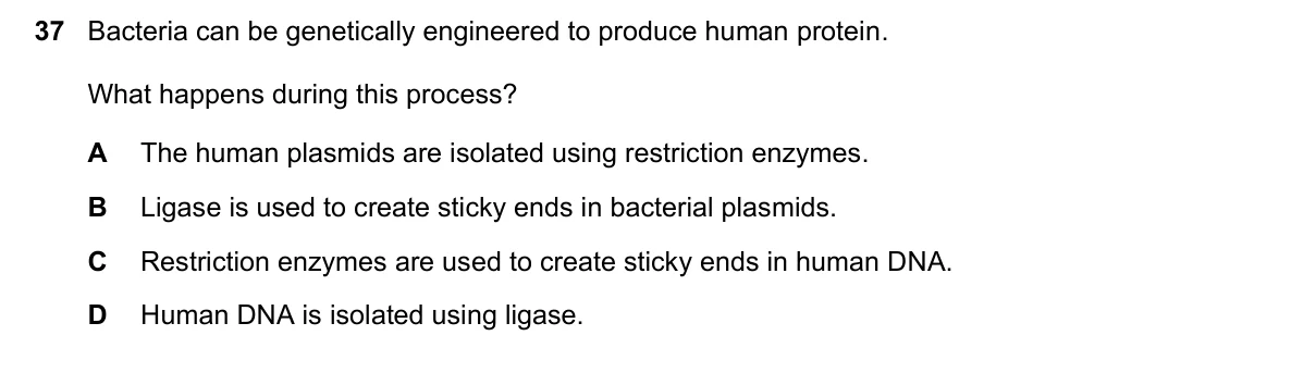 Question 37, November 2021, 0610 Paper 21