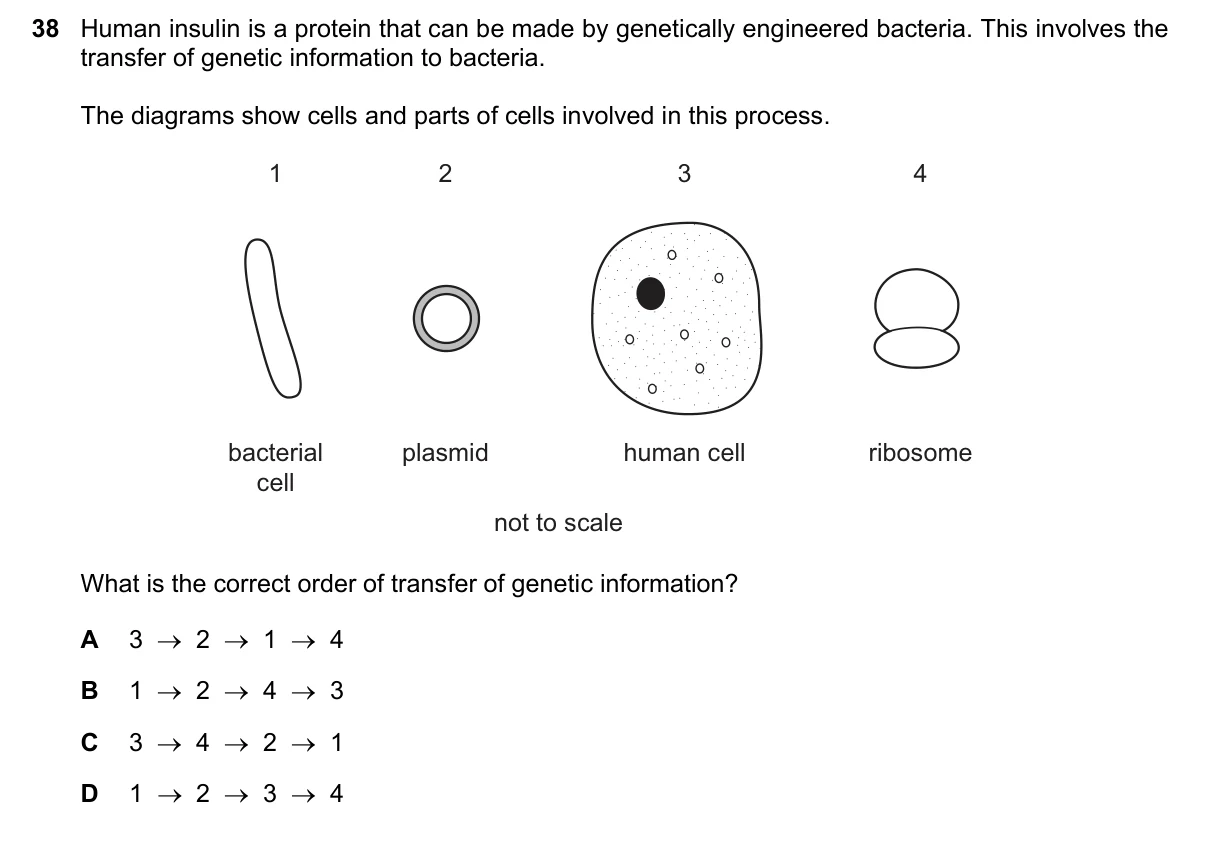 Question 38, November 2021, 0610 Paper 21