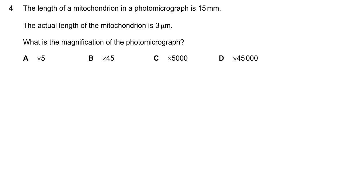 Question 4, November 2021, 0610 Paper 21