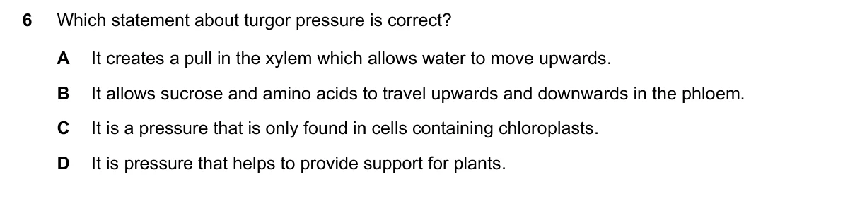 Question 6, November 2021, 0610 Paper 21