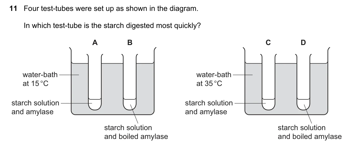 Question 11, November 2021, 0610 Paper 12