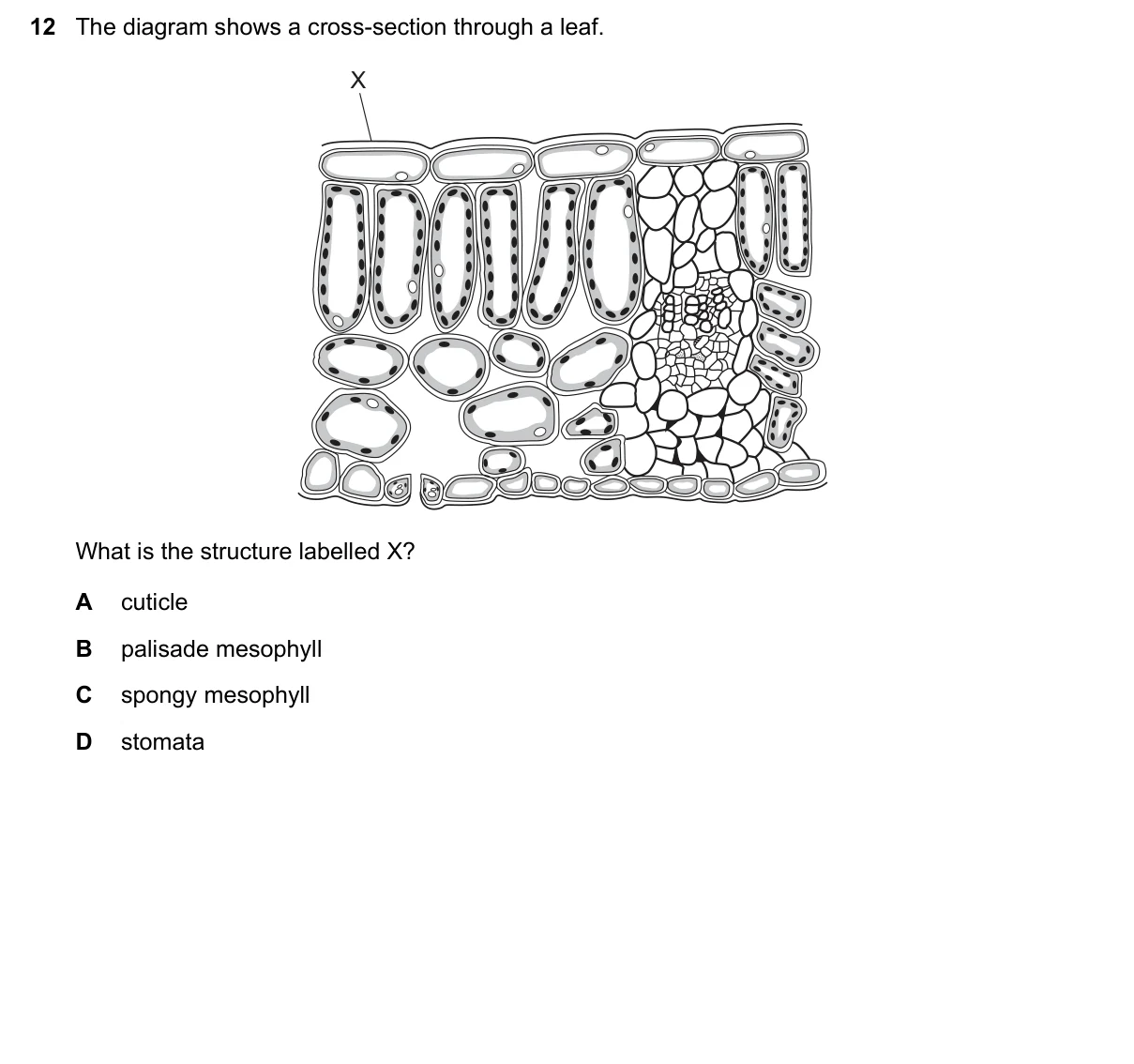 Question 12, November 2021, 0610 Paper 12