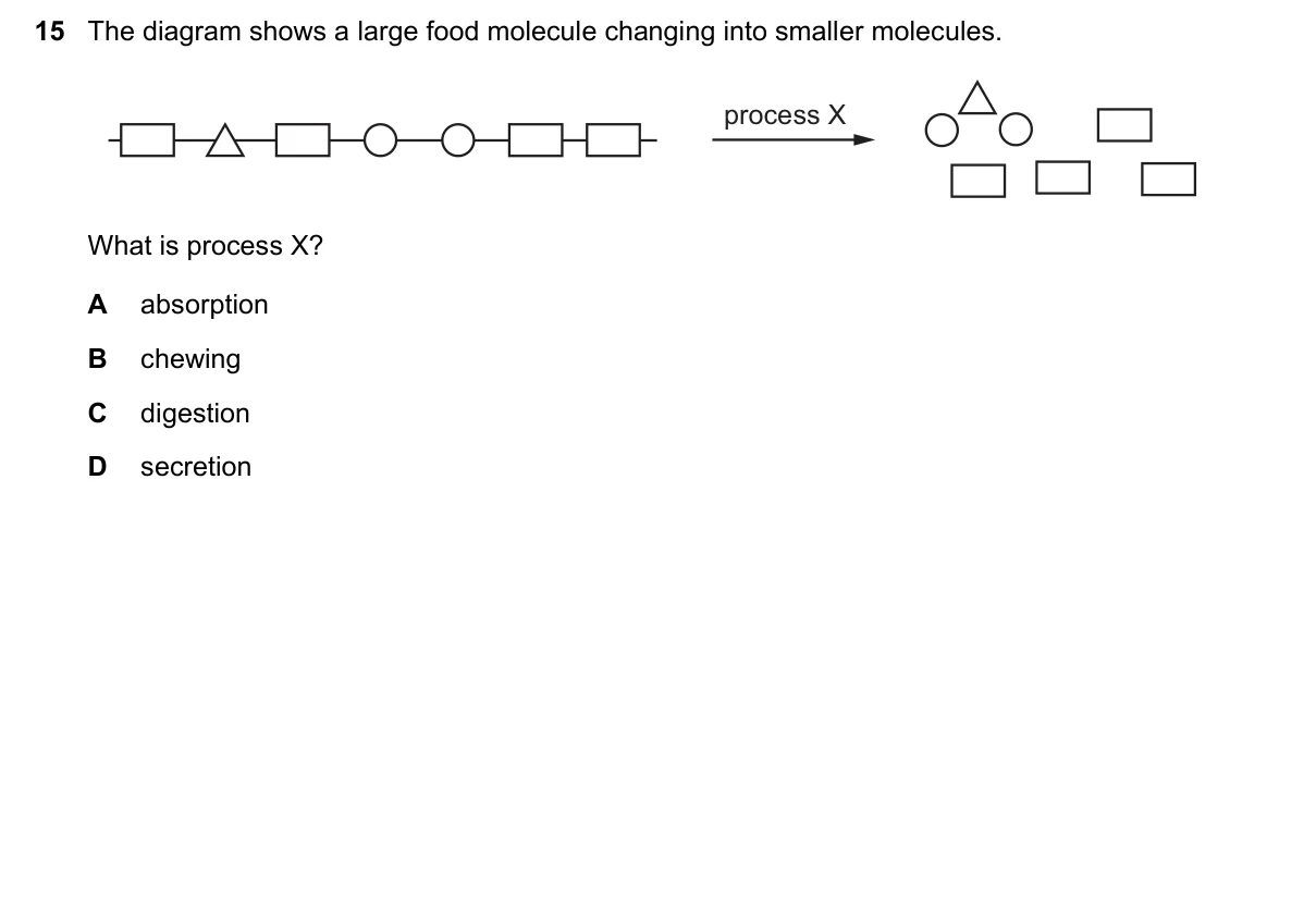 Question 15, November 2021, 0610 Paper 12