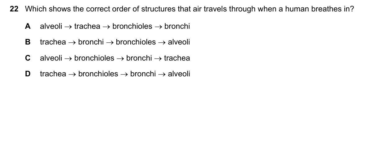 Question 22, November 2021, 0610 Paper 12