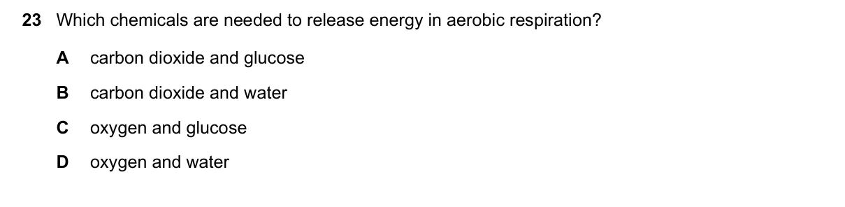 Question 23, November 2021, 0610 Paper 12