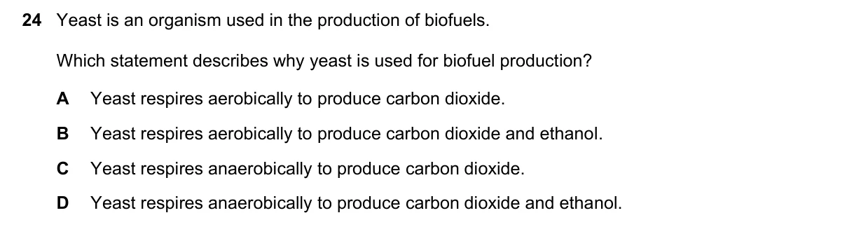 Question 24, November 2021, 0610 Paper 12