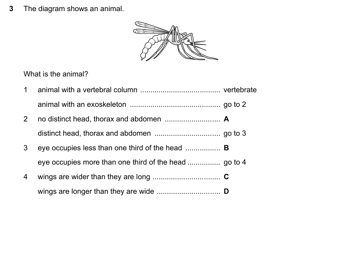 Question 3, November 2021, 0610 Paper 12