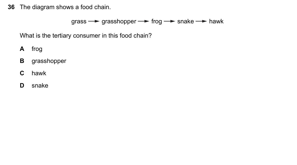 Question 36, November 2021, 0610 Paper 12