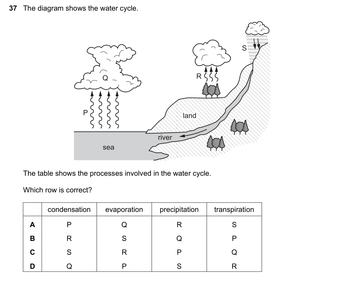 Question 37, November 2021, 0610 Paper 12