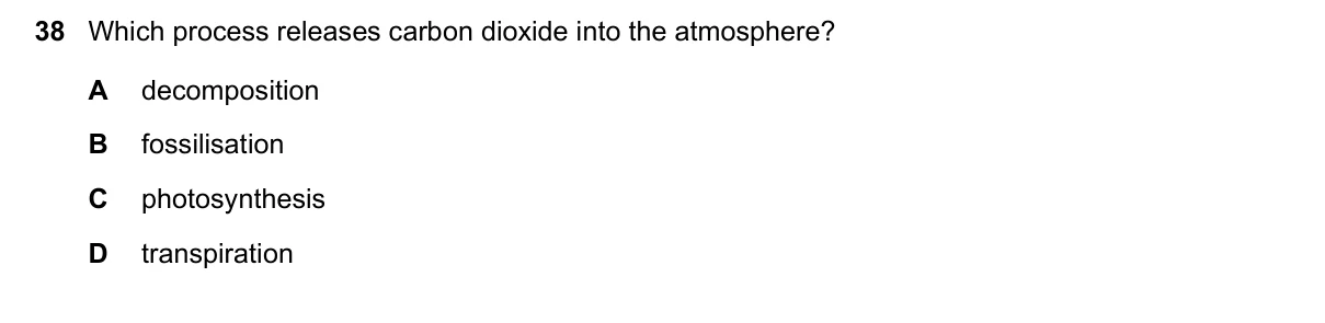 Question 38, November 2021, 0610 Paper 12