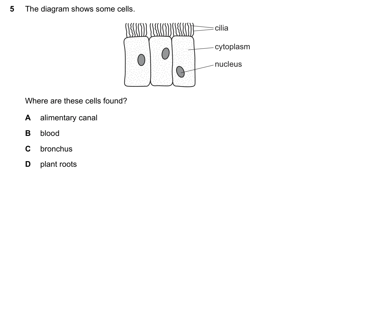 Question 5, November 2021, 0610 Paper 12
