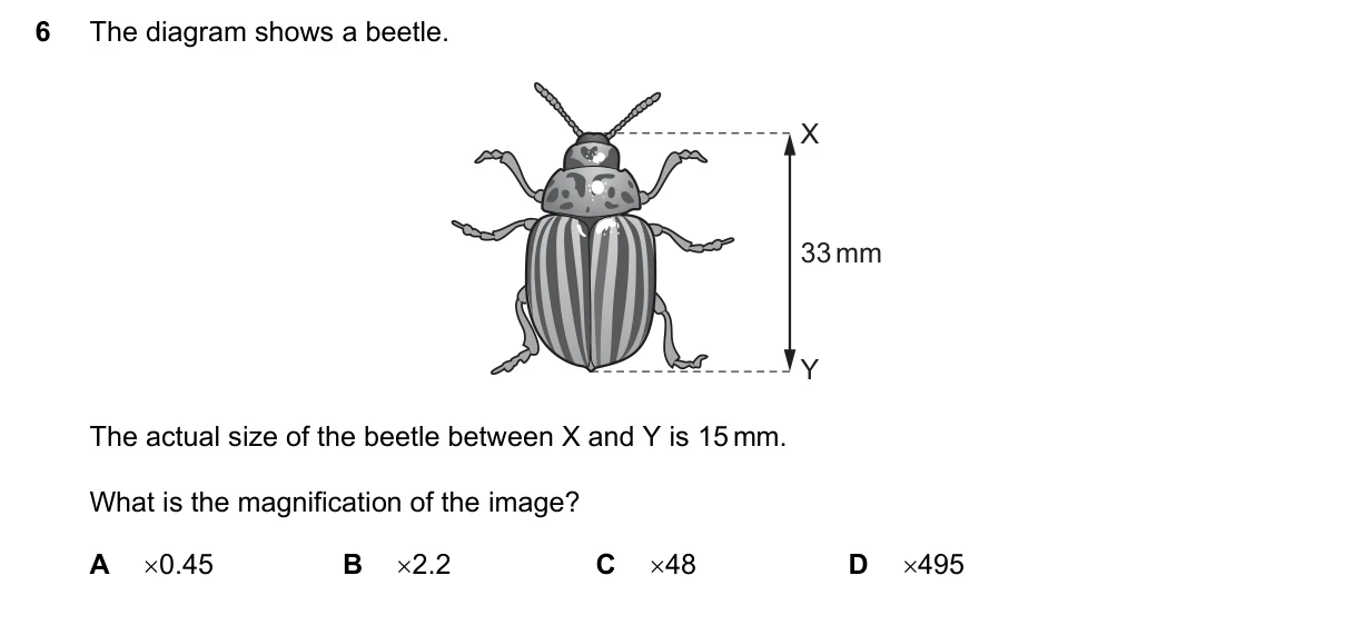 Question 6, November 2021, 0610 Paper 12