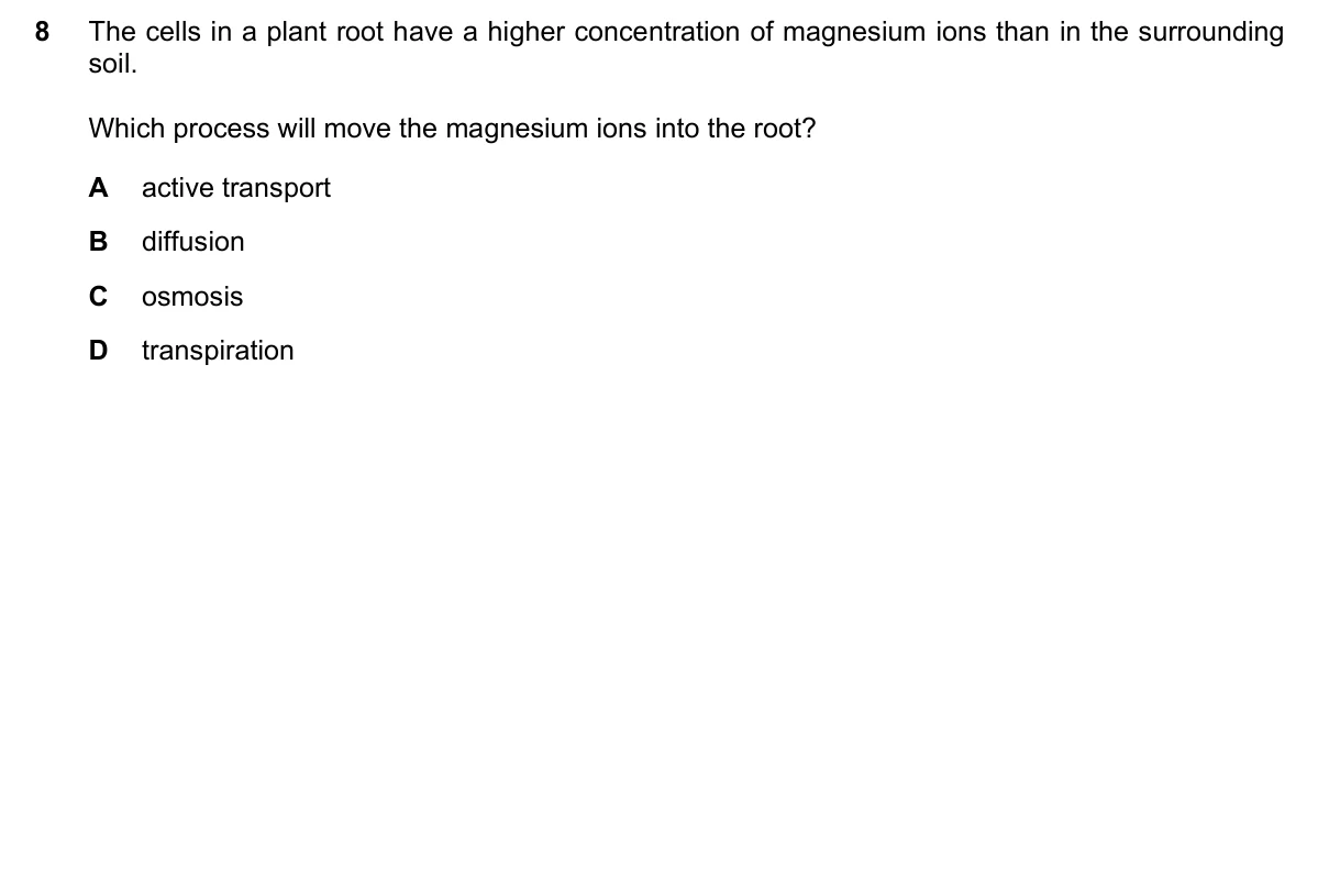 Question 8, November 2021, 0610 Paper 12